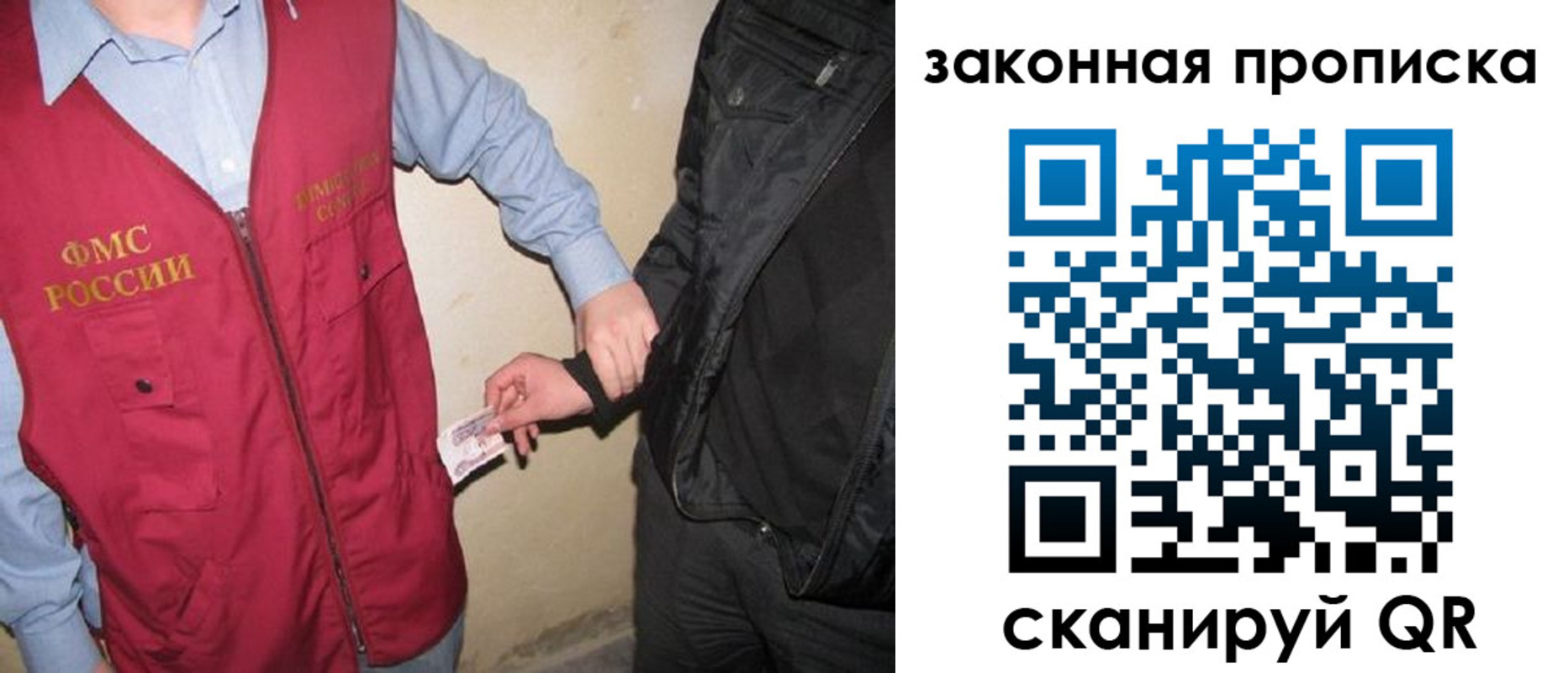 прописка для школы в Тосно